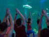 Yoga with the Sharks