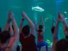 Yoga with the Sharks