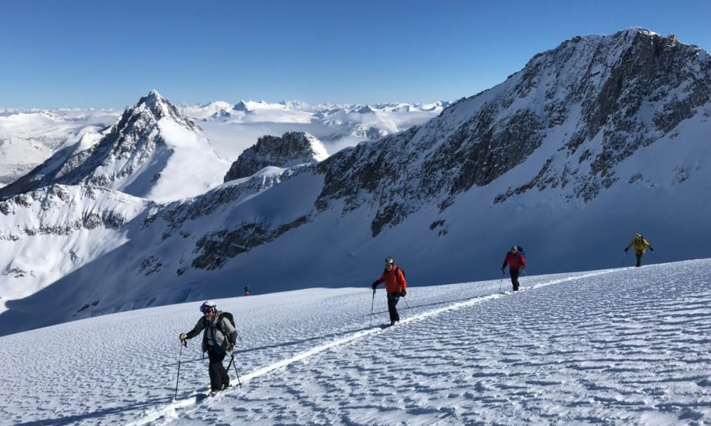 Group of skiers ski touring in the Selkirk Mountains in British Columbia
