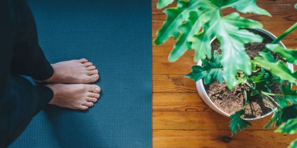 It’s Not All Brahmana: Learning the Balance of Living Your Yoga